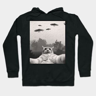 Funny Cat Selfie with UFOs Hoodie